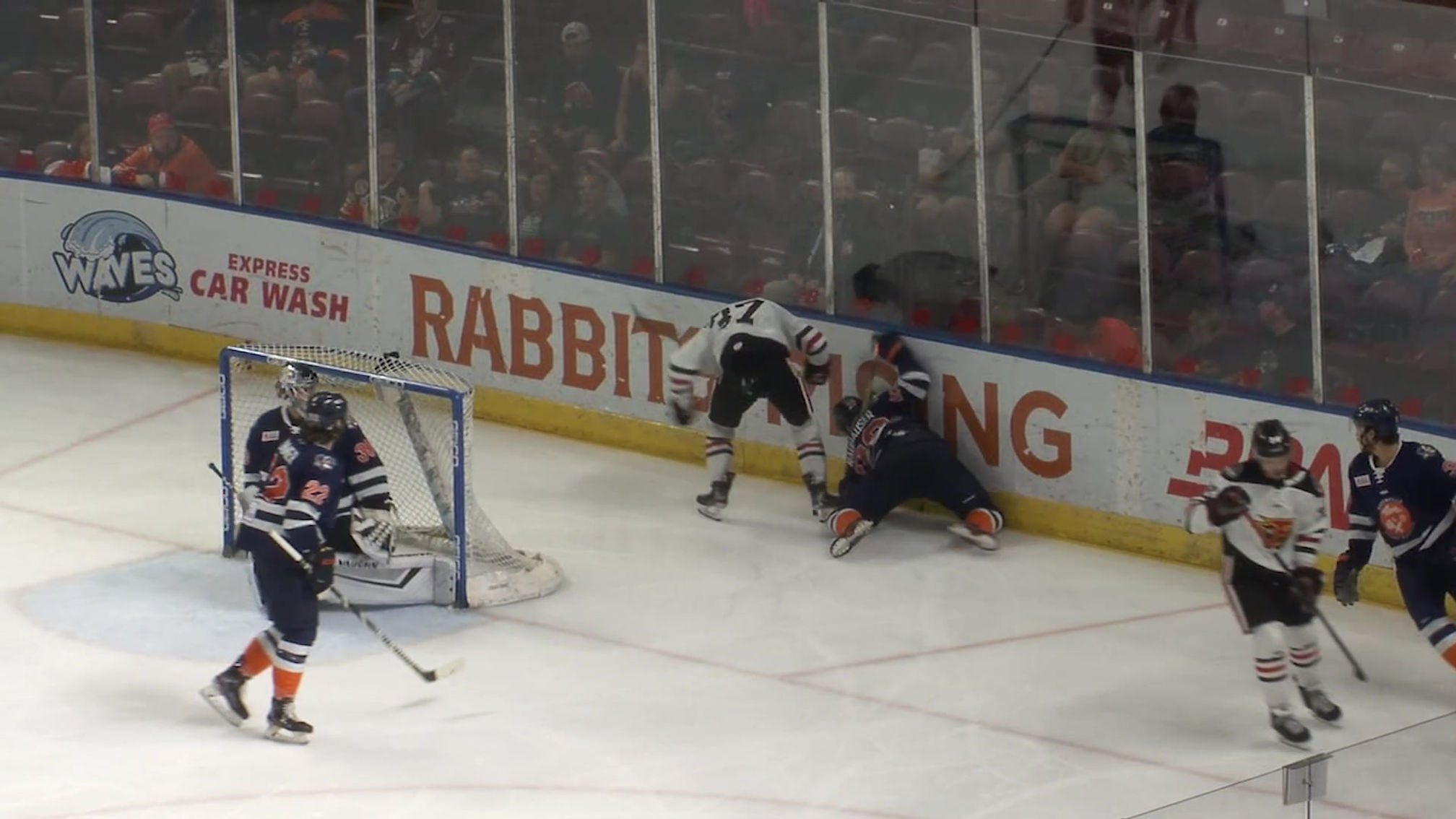 Greenville Swamp Rabbits